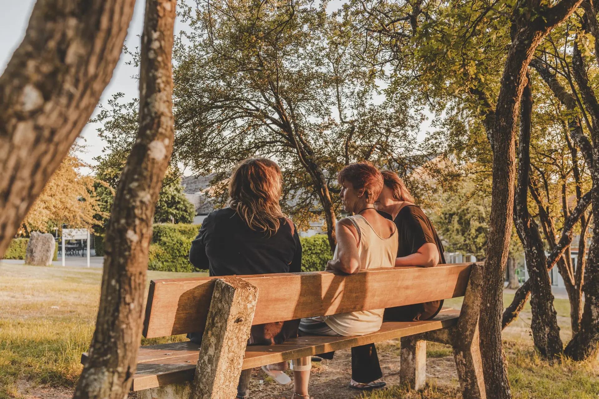 Afbeelding Vakantiedomein Dennenheuvel