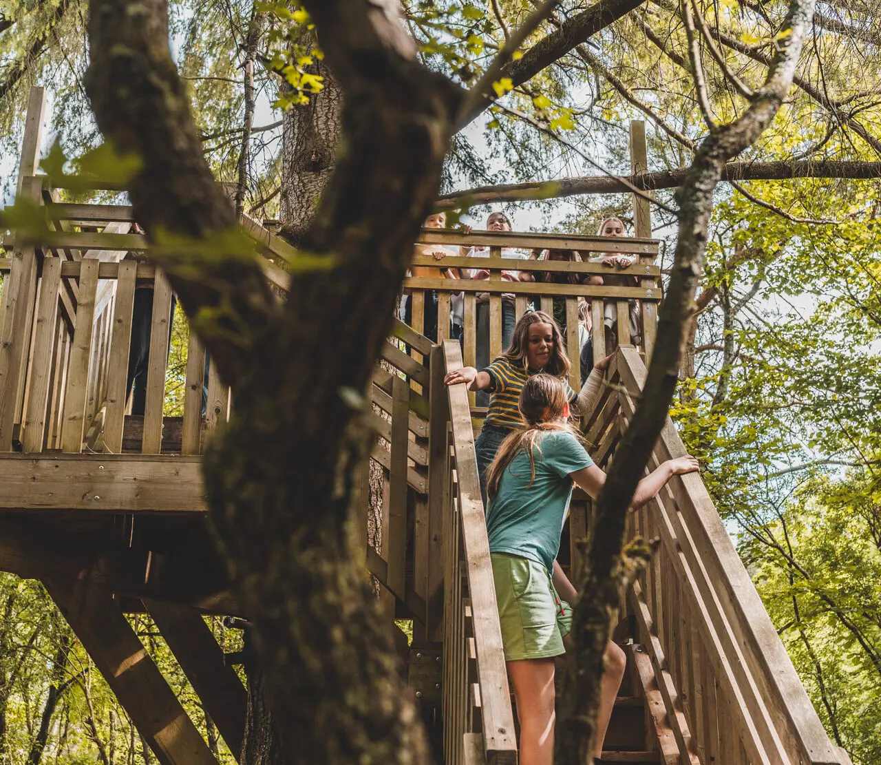 Afbeelding Vakantiedomein Dennenheuvel