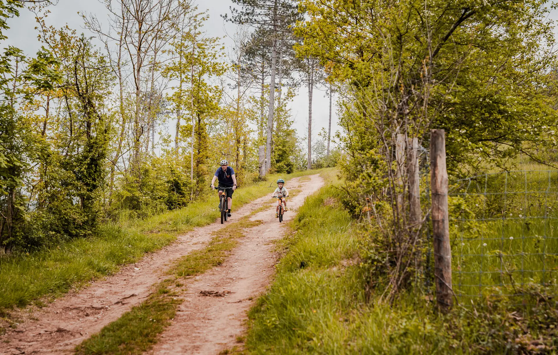 Afbeelding Vakantiedomein Dennenheuvel