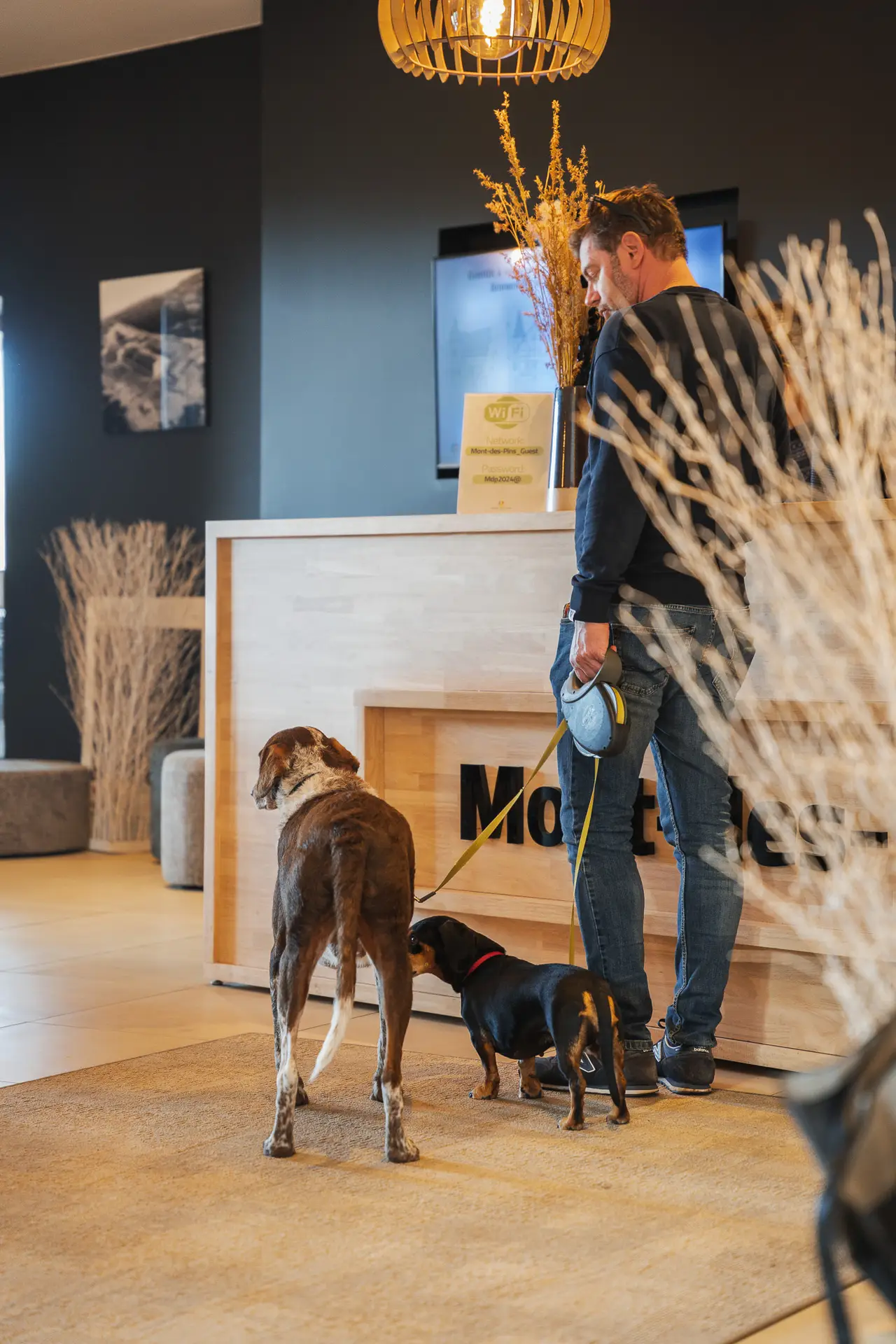 Mont-des-Pins onthaal verblijf honden toegelaten Durbuy