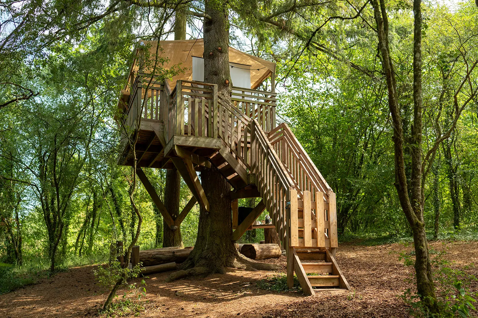 Afbeelding Vakantiedomein Dennenheuvel